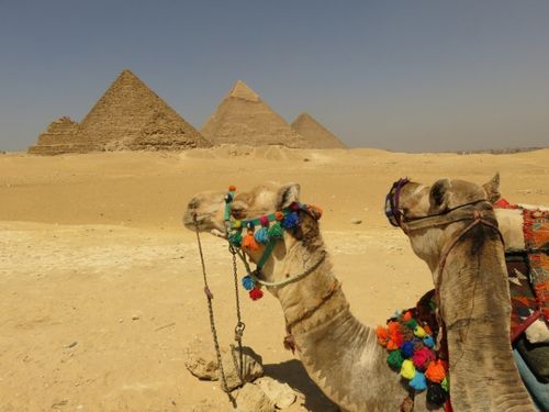 موضوع/مقال عن السياحة في مصر