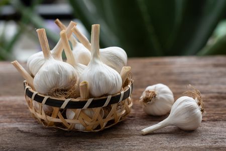 الثوم، فوائد، Garlic، صورة الثوم
